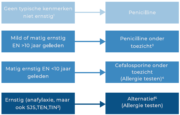 peni allergie kenmerken